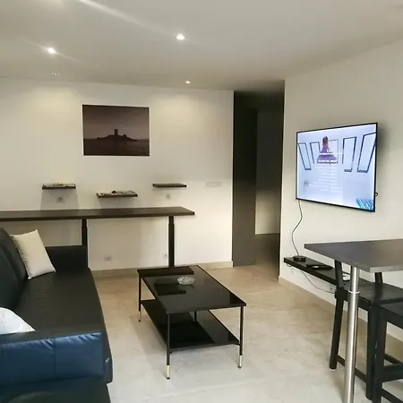 Grand Standing Avec Terrasse Et Parking * 생트막시메