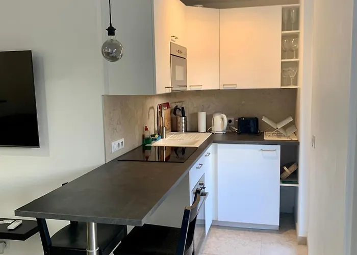 Grand Standing Avec Terrasse Et Parking דירה סן-מקסים