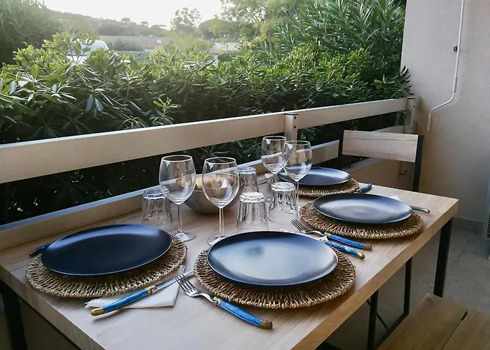 Grand Standing Avec Terrasse Et Parking סן-מקסים